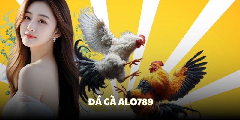 Giới thiệu chung về sân chơi đá gà SV Alo789