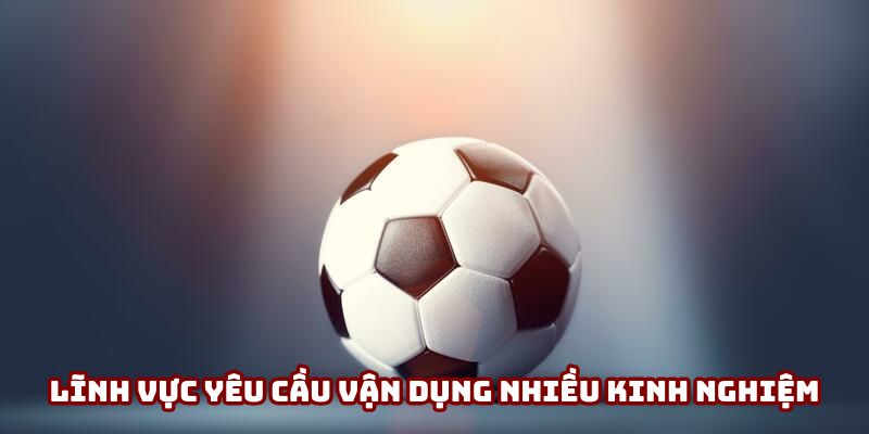 Lĩnh vực yêu cầu vận dụng nhiều kinh nghiệm