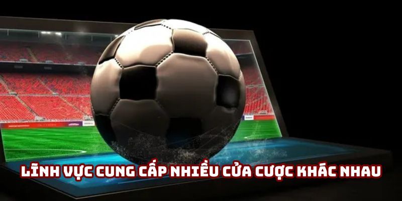 Lĩnh vực cung cấp nhiều cửa cược khác nhau