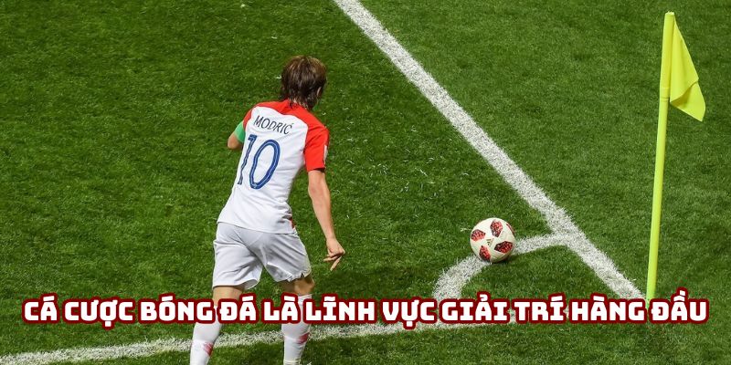 Cá cược bóng đá trở thành lĩnh vực giải trí hàng đầu