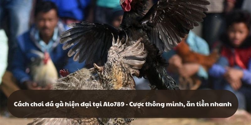 Cách Chơi Đá Gà Hiện Đại Tại Alo789 - Cược Thông Minh, Ăn Tiền Nhanh