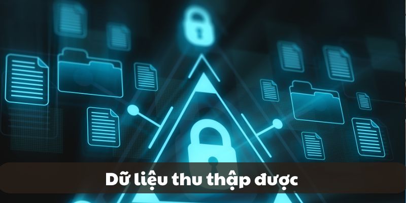 Quy định về thông tin thu thập từ người dùng