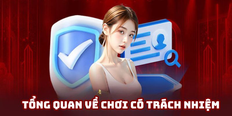 Sơ lược về chơi có trách nhiệm