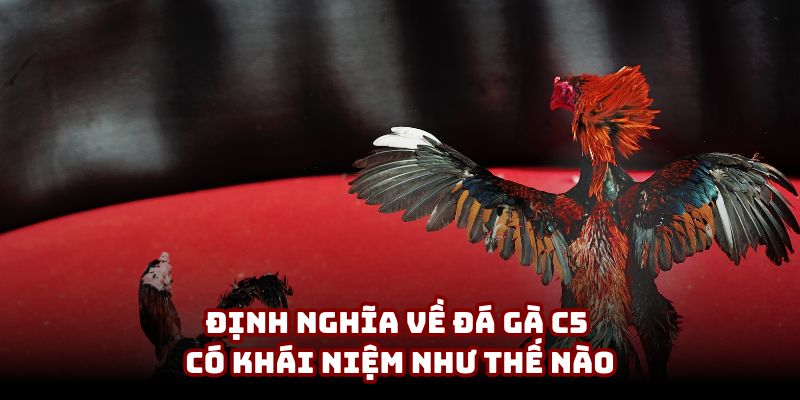 Định nghĩa về đá gà C5 có khái niệm như thế nào