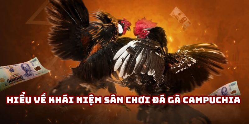 Hiểu về khái niệm sân chơi đá gà Campuchia