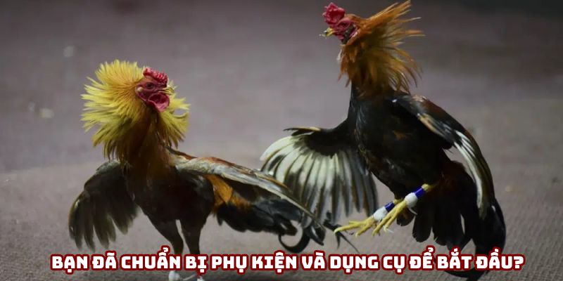 Bạn đã chuẩn bị phụ kiện và dụng cụ để bắt đầu?