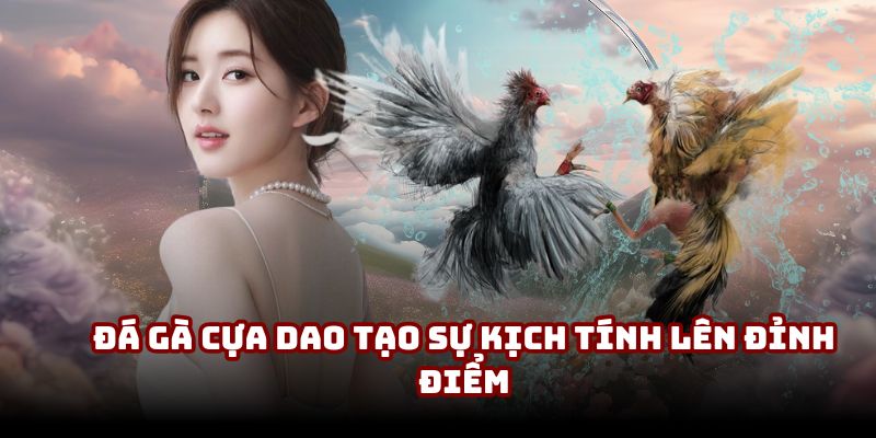 Đá gà cựa dao tạo sự kịch tính lên đỉnh điểm