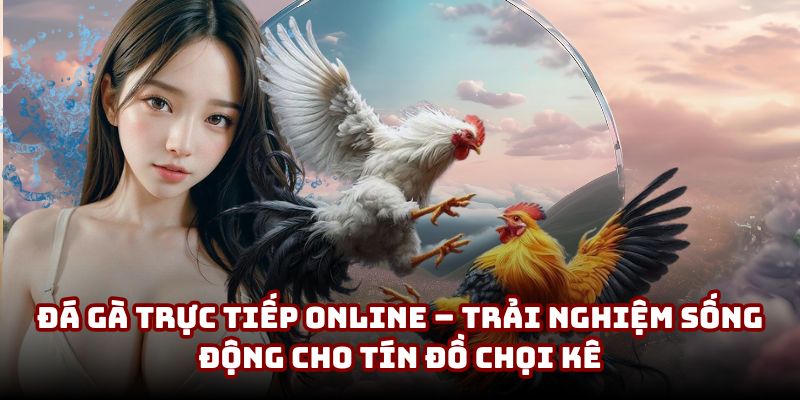 Đá Gà Trực Tiếp | Hình Thức Trải Nghiệm Mới Cho Giới Kê Thủ
