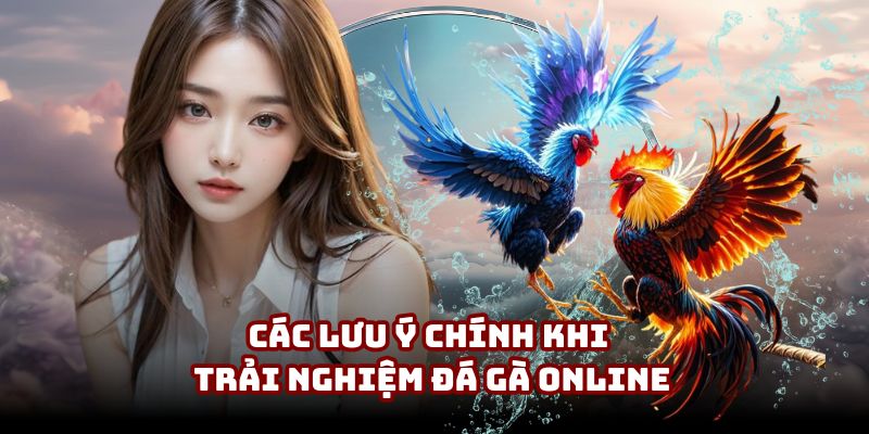 Các lưu ý chính khi trải nghiệm đá gà online