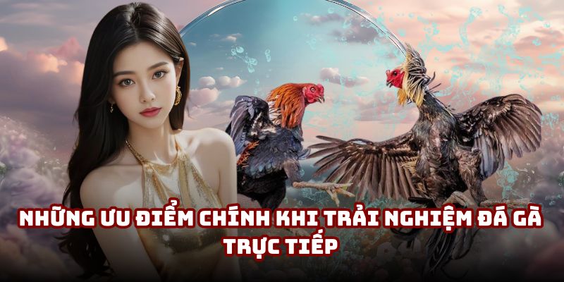Những ưu điểm chính khi trải nghiệm đá gà trực tiếp