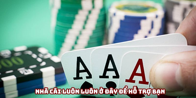Nhà cái luôn luôn ở đây để hỗ trợ bạn