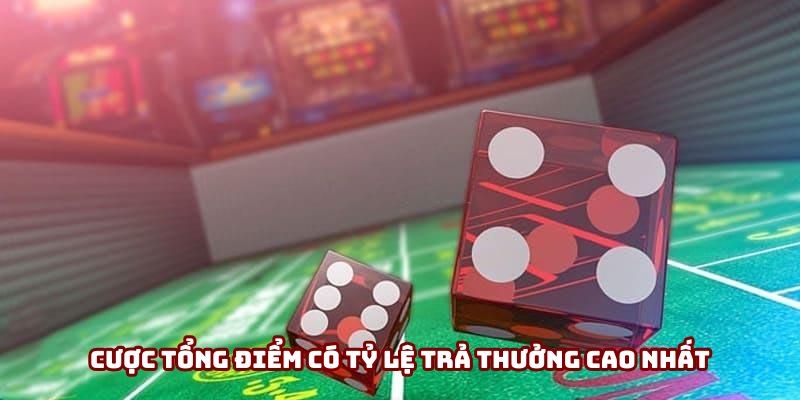 Cược tổng điểm có tỷ lệ trả thưởng cao
