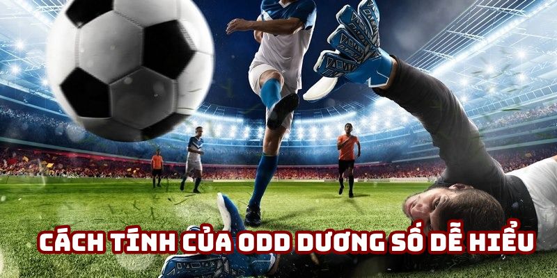 Cách tính của odd dương số dễ hiểu