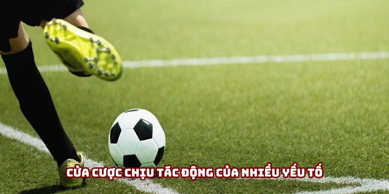 Cửa cược chịu tác động của nhiều yếu tố