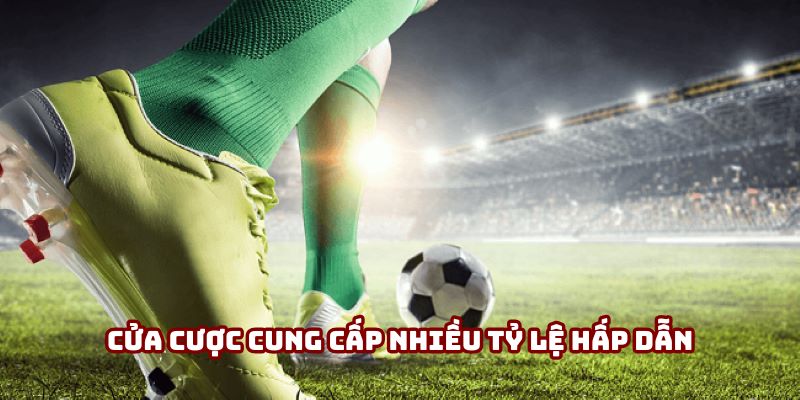 Cửa cược cung cấp nhiều tỷ lệ hấp dẫn