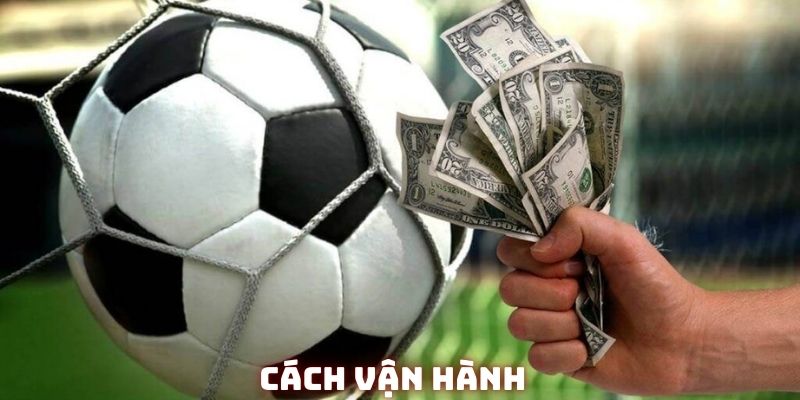 Tài xỉu cũng như các loại khác, có cách hoạt động rất riêng biệt