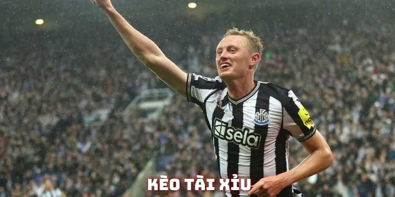 Kèo Tài Xỉu - Nơi Cảm Xúc Thăng Hoa Từ Những Bàn Thắng Quý Giá