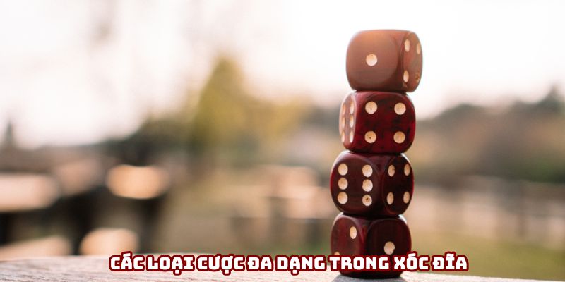 Các loại cược đa dạng trong xóc đĩa trực tuyến